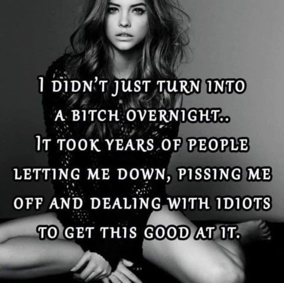 Meet your Posher, Darryl - Picture 1 of 1